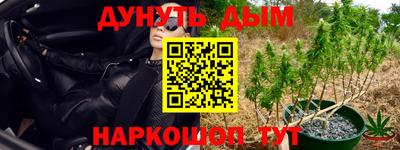 трава Новозыбков