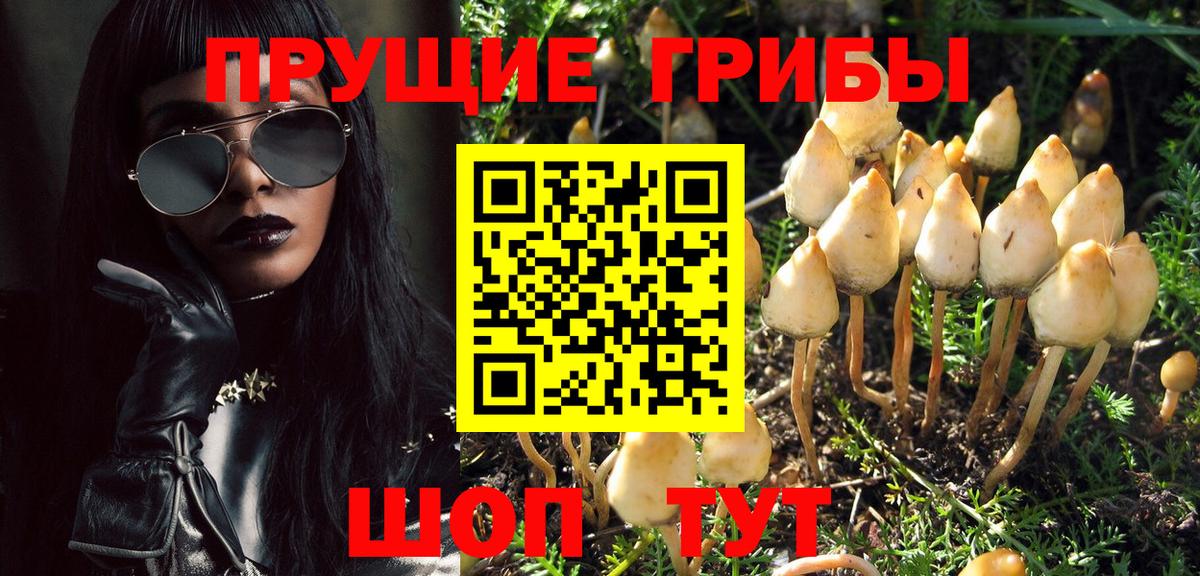 Галлюциногенные грибы Magic Shrooms Тосно